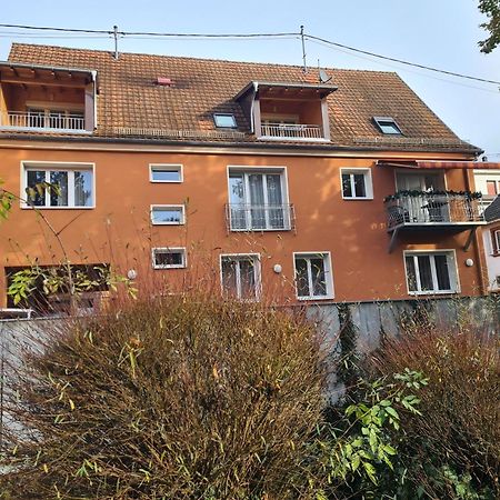 Meubles Du 25 N3 Studio 1Er Etage 尼德布龙莱班 外观 照片